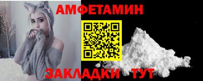 шишки Заволжье